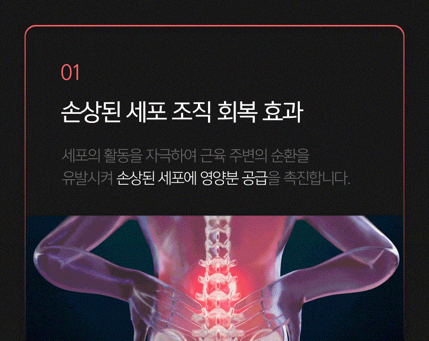 펨프랩 상세 16
