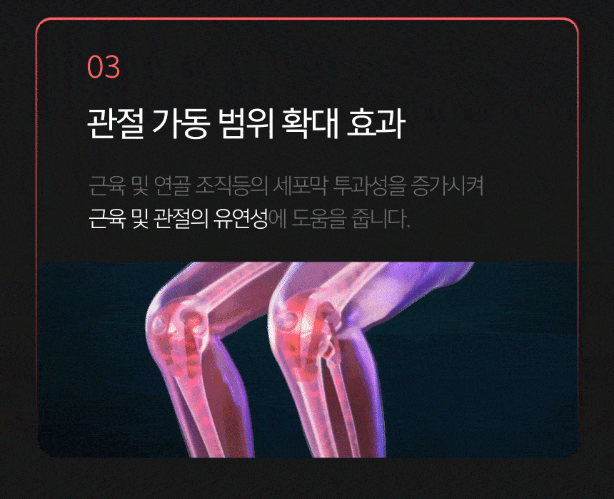 펨프랩 상세 18