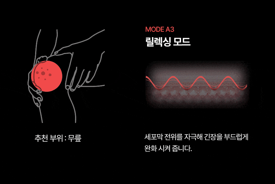 펨프랩 상세 26